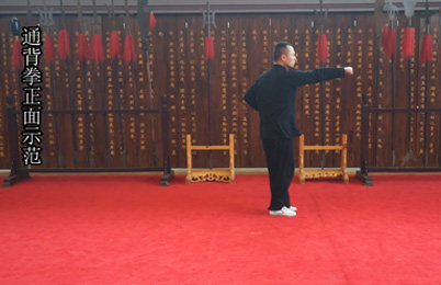 武术教学课程：通背拳