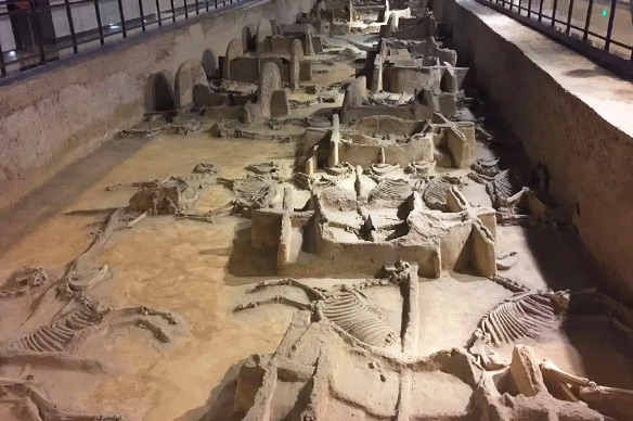 Museum of Luoyang Eastern Zhou  Royal Horse and Chariot Pits