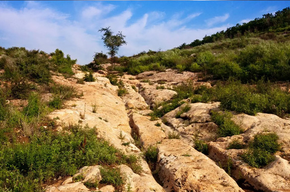 Shihao Section of Xiaohan Ancient  Road
